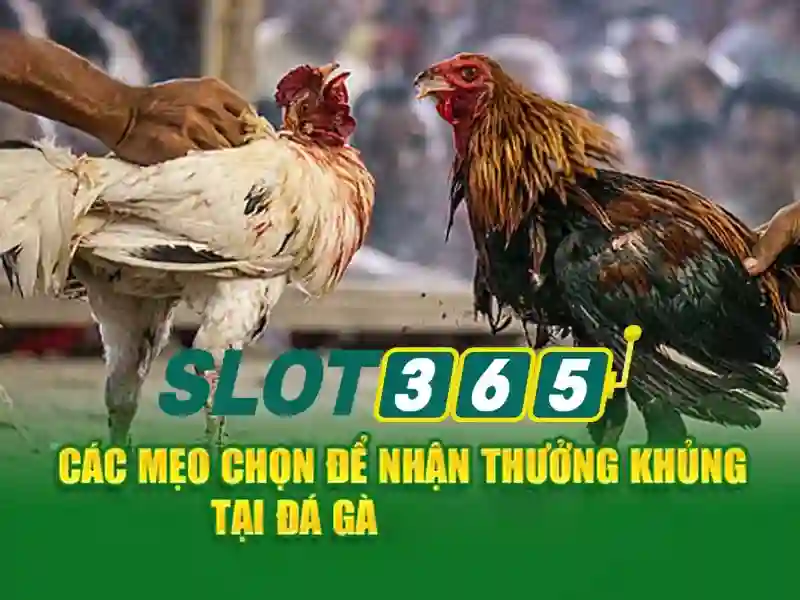 Danh mục trò chơi đa dạng và chất lượng