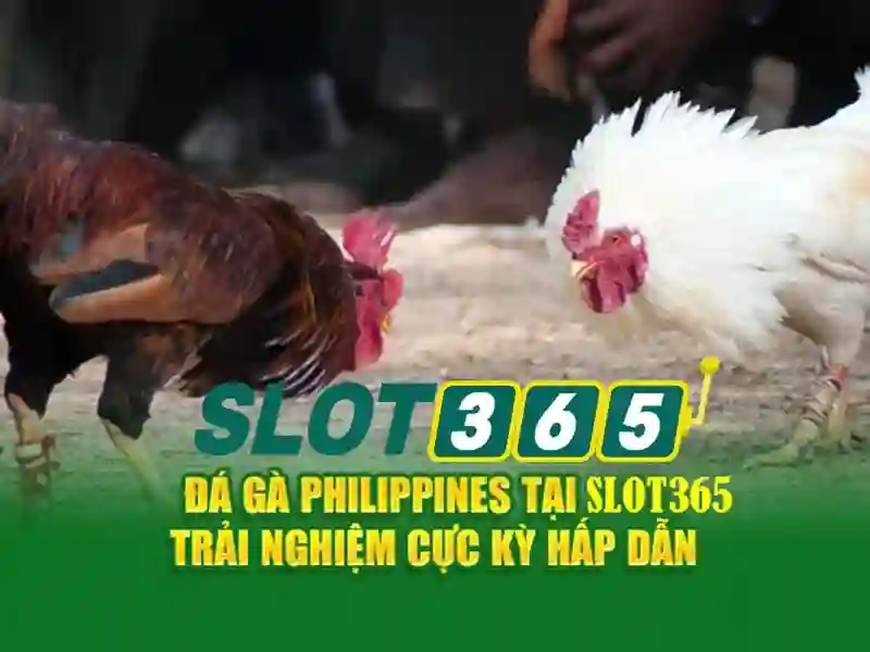 Giao diện và trải nghiệm người dùng
