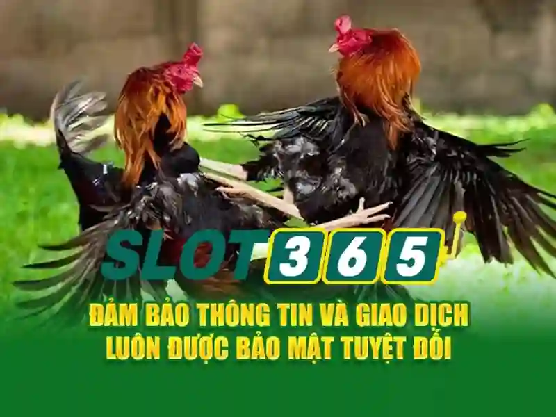 Giao dien cua Slot365