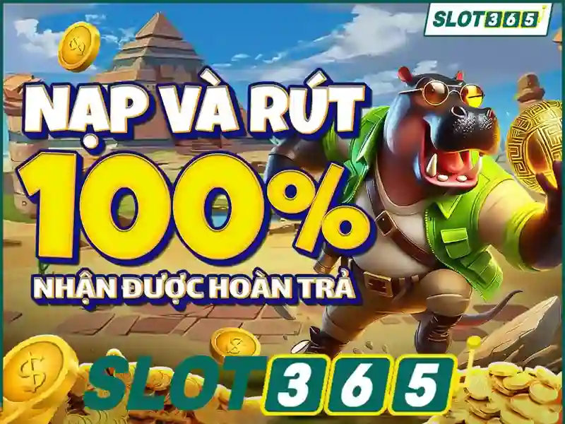 Giao diện người dùng và trải nghiệm người chơi tại Slot365