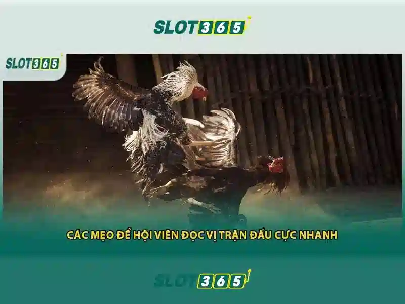 Đăng Nhập