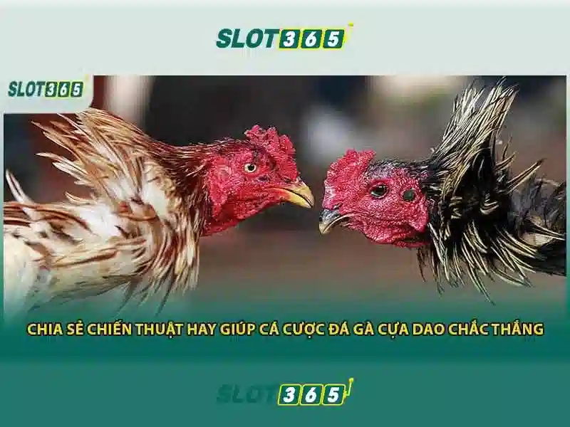 Slot365: Nền tảng chơi slot trực tuyến an toàn và đầy thú vị Go88