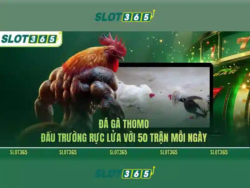 Phương thức thanh toán và bảo mật Phương thức thanh toán và bảo mật