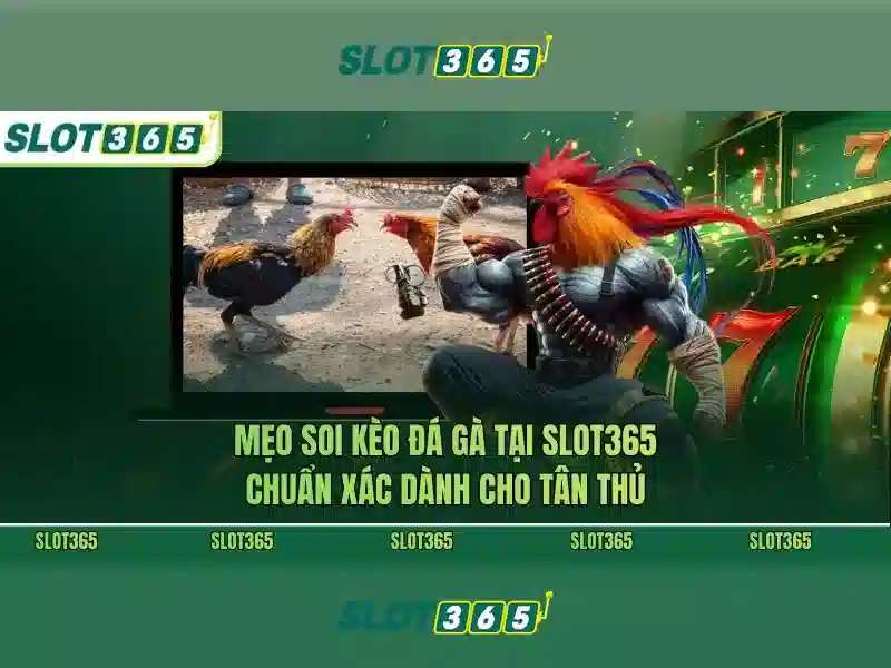 Slot365 - Trải nghiệm chơi slot trực tuyến uy tín và phong phú 1 Đăng Nhập