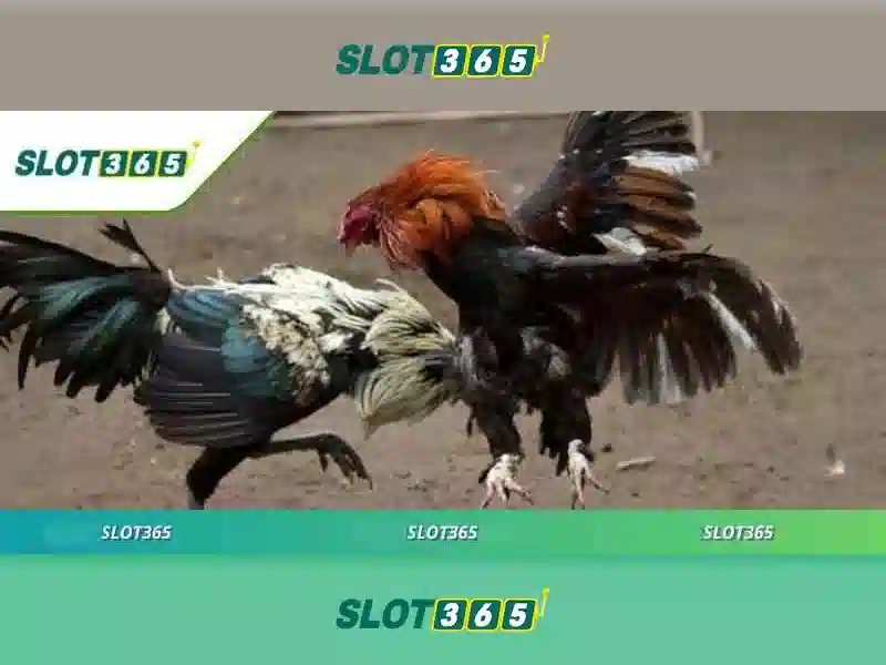 Giới thiệu về Slot365 Giới thiệu về Slot365