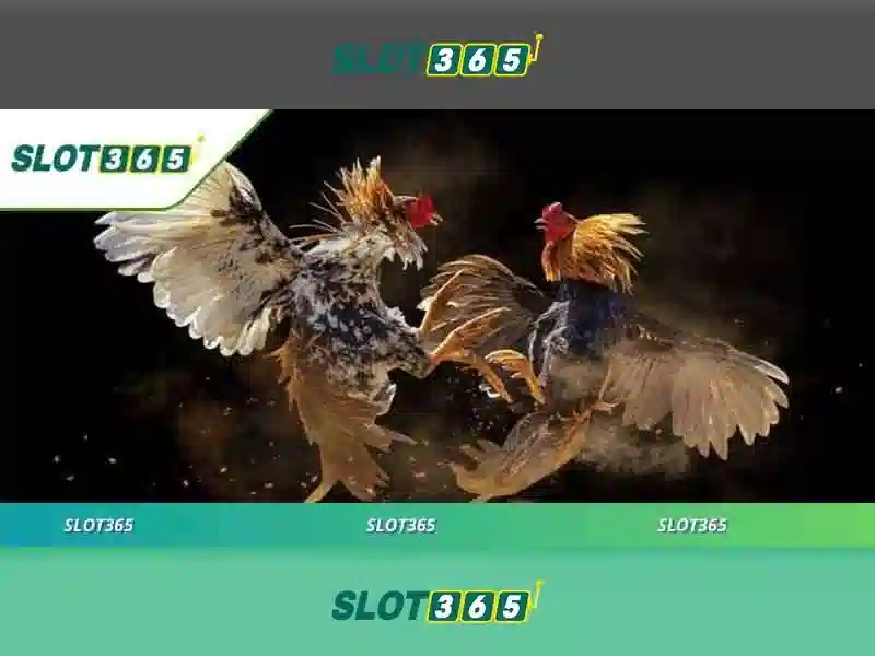 Lợi ích khi chơi Slot365 Lợi ích khi chơi Slot365
