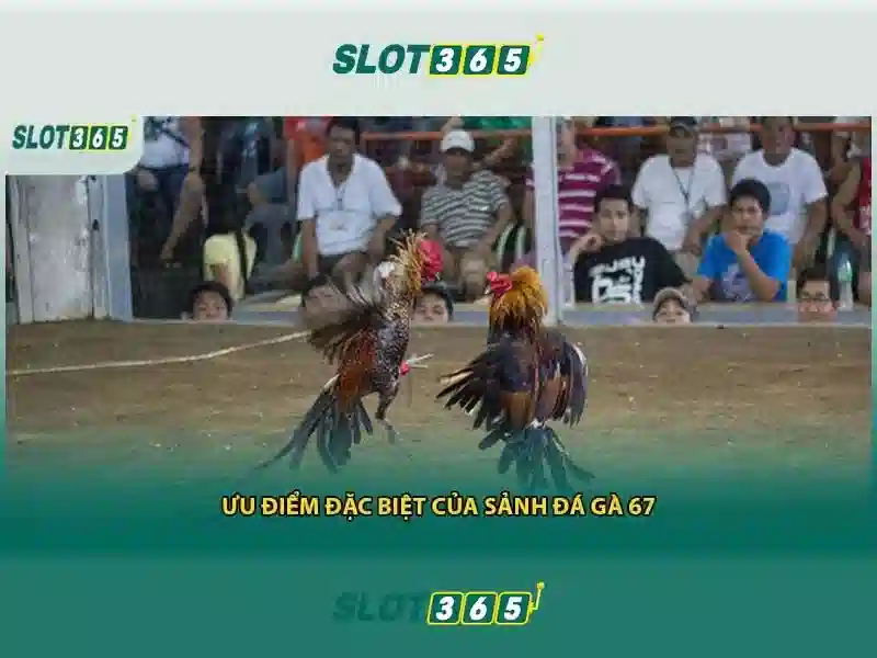 Tầm nhìn tương lai của Slot365