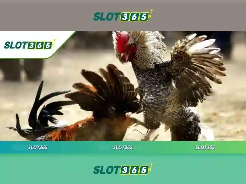 Slot365 là gì và tại sao nên chơi slot trực tuyến? 1 Đăng Nhập