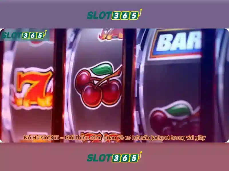 An toàn và thanh toán tại Slot365