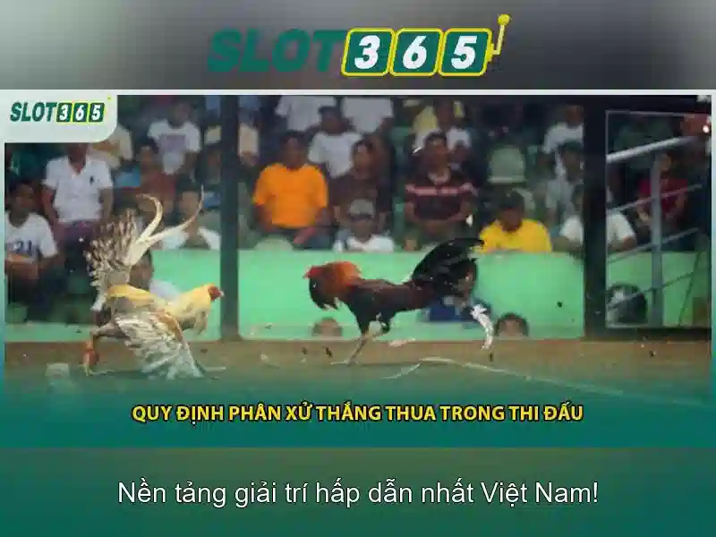 Slot365: Cổng trò chơi xèng trực tuyến hàng đầu Go88