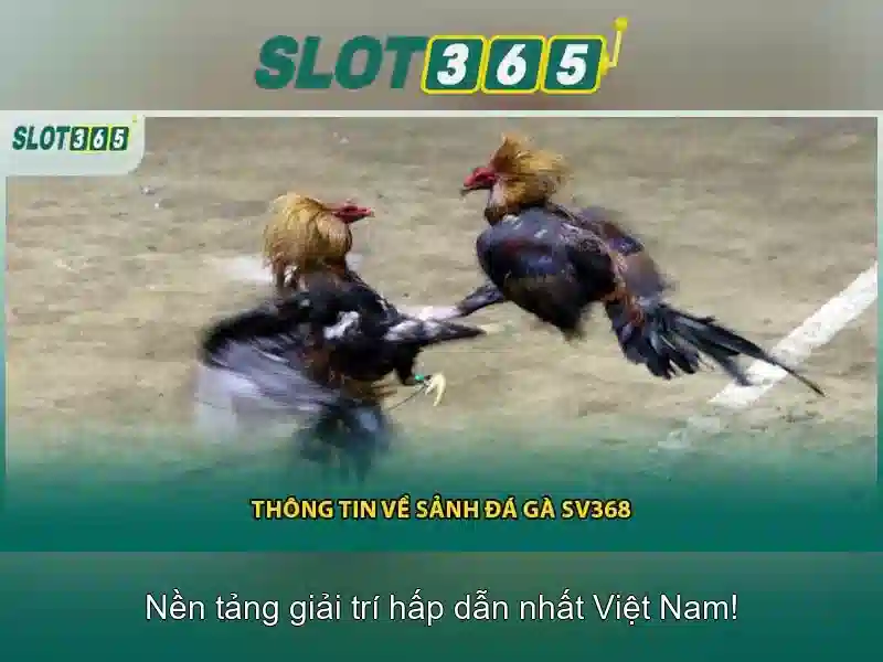 Slot365: Giới thiệu