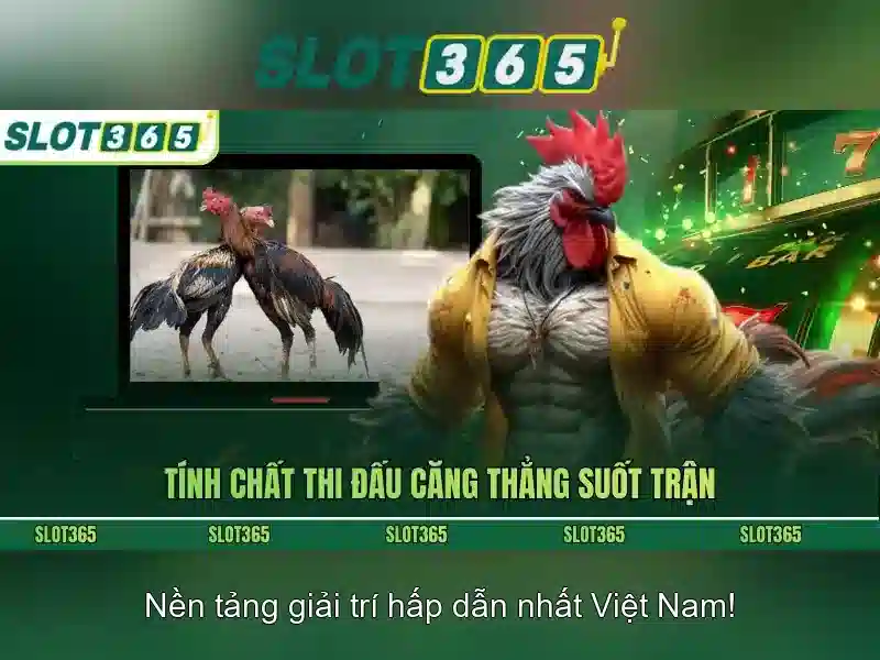 An toàn, thanh toán và hỗ trợ khách hàng