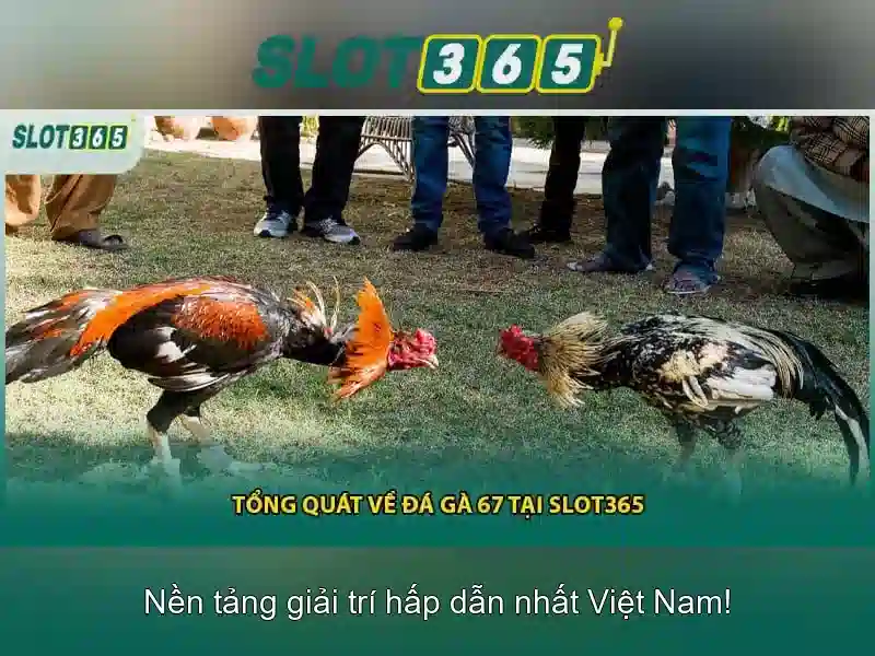 Danh sách trò chơi đa dạng và nhà phát triển uy tín