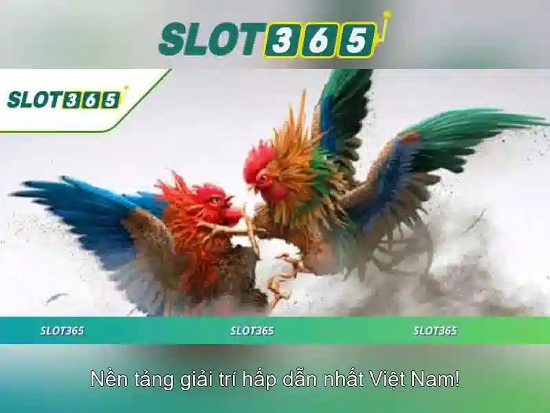 đăng ký Slot365 – Trải nghiệm người dùng và cộng đồng