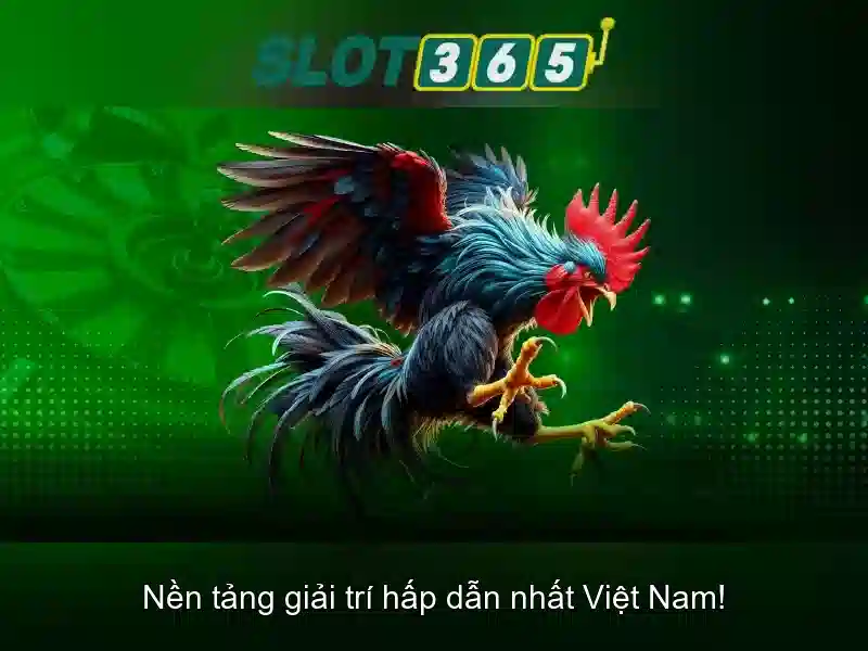 Tín hiệu thương hiệu Slot365 trên nền sáng