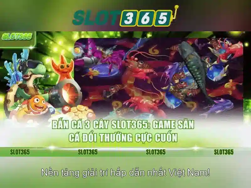 Kết luận