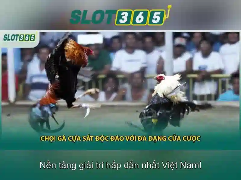 Slot365 - Trải nghiệm casino slot trực tuyến đáng tin cậy Go88