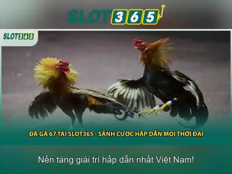 Khuyến mãi và chương trình khách hàng thân thiết