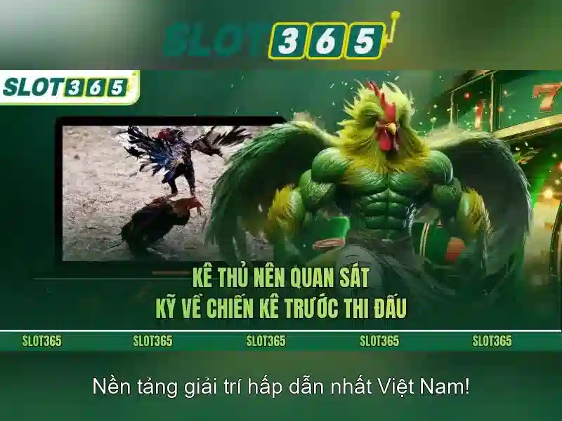Trò chơi và danh mục