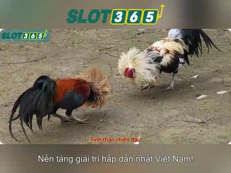 Slot365: Trải nghiệm máy xèng trực tuyến tuyệt vời Go88