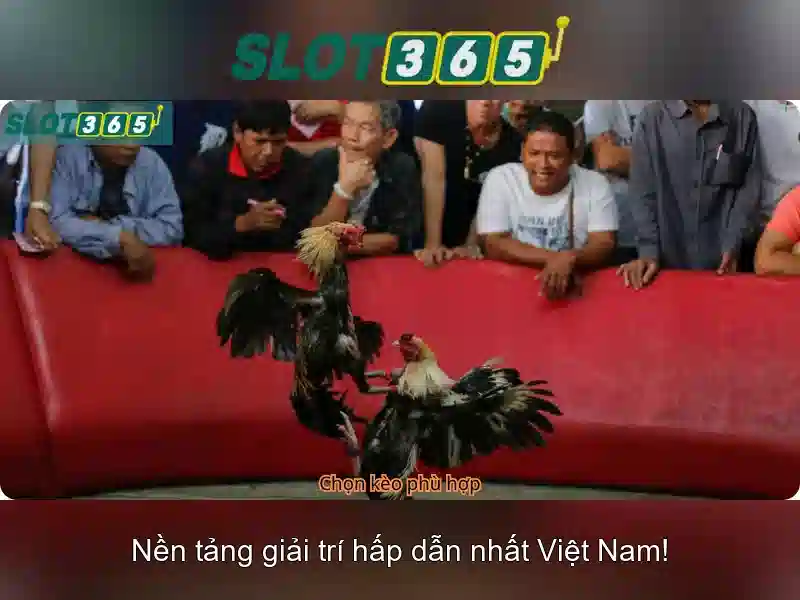 Slot365: Đánh giá và hướng dẫn chơi khe cắm trực tuyến Go88