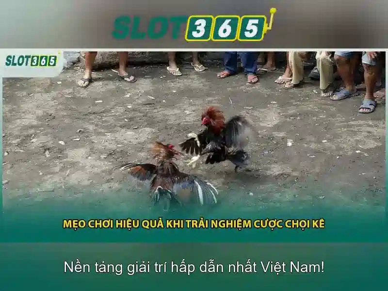 Slot365: Tổng quan về nền tảng slot trực tuyến Go88