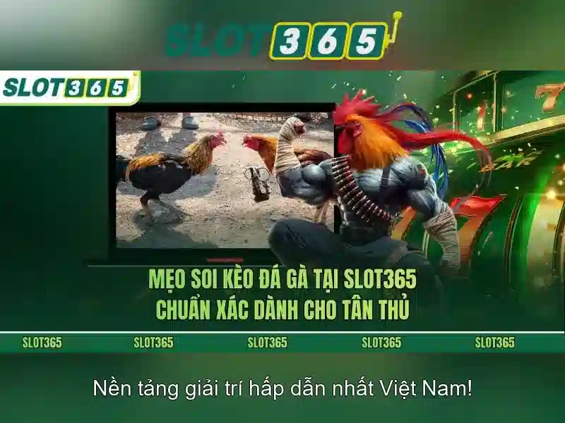 Slot365 – Đánh giá và trải nghiệm slots trực tuyến 1 Đăng Nhập