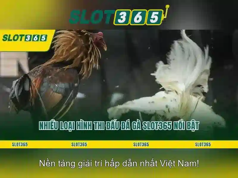 Ưu điểm nổi bật