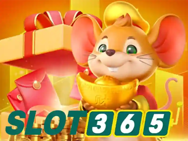 Slot365 là gì? Slot365 là gì?