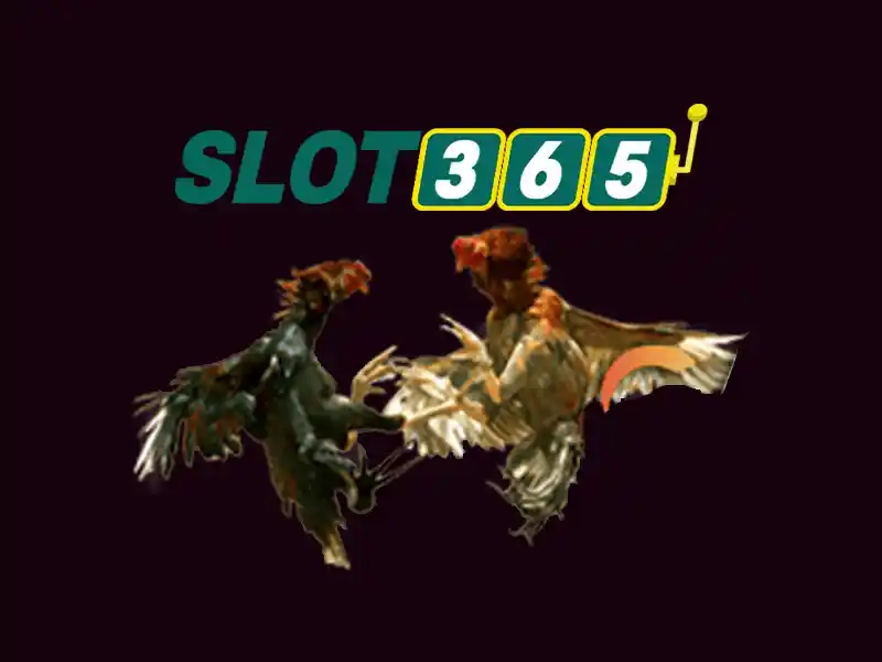 Slot365: Nền tảng chơi slot trực tuyến đáng tin cậy