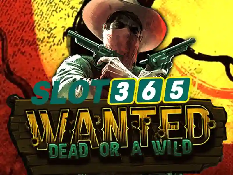 Đặc điểm nổi bật của Slot365 Đặc điểm nổi bật của Slot365