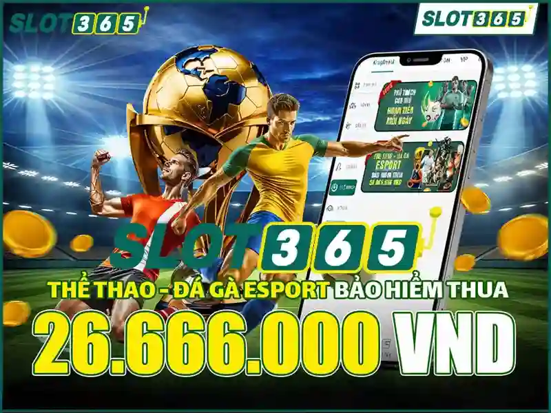 Slot365 là gì? Slot365 là gì?